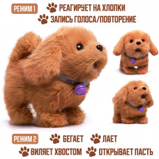 Собака 