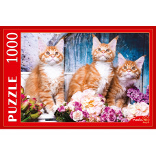 Пазлы 1000 элементов Рыжие котята мейн-кун ГИП1000-2021