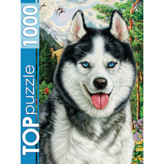 TOPpuzzle. ПАЗЛЫ 1000 элементов. ФТП1000-7178 Портрет хаски