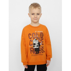 Джемпер для мальчика CWKB 63237-29-328