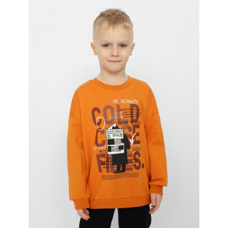 Джемпер для мальчика CWKB 63237-29-328 Джемпер для мальчика CWKB 63237-29-328