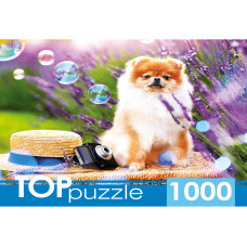 Пазлы 1000 элементов TOPpuzzle Шпиц в саду ШТТП1000-9859