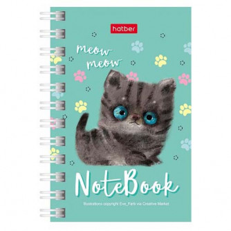 Книжка записная  Кошарики 40ЗК7В1гр