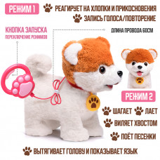 Собака 