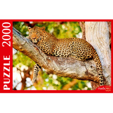Пазлы 2000 элементов Изящный леопард на дереве ШТП2000-2707