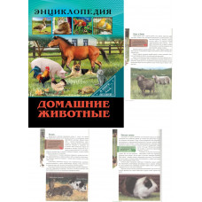 ЭНЦИКЛОПЕДИЯ. В МИРЕ ЗНАНИЙ. ДОМАШНИЕ ЖИВОТНЫЕ