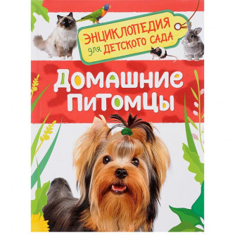 Книга 978-5-353-08477-8 Домашние питомцы. Энциклопедия для детского сада   