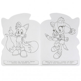 Волшебное путешествие. Раскраска с вырубкой в виде героя. 210х285мм. Скрепка. 16стр. Умка 978-5-506-07154-9