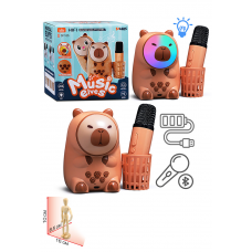 Караоке - центр игрушечный 