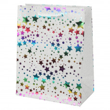 Пакет подарочный с тиснением, звезды, м,190 гр/м2 ЧУДО ПРАЗДНИК PTM-01-S1  