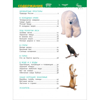 Животные России (Энциклопедия для детского сада) 32826