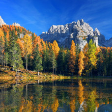 Холст с красками Красивый вид на лес и горы ХК-4832
