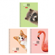 Книжка записная А6, 80л, клетка, гребень, Hatber, 