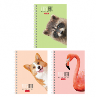 Книжка записная А6, 80л, клетка, гребень, Hatber, 