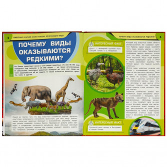 Животные Красной книги России. Исчезающие виды. Энциклопедия. 197х255мм. 7БЦ. 48стр. Умка 978-5-506-09203-2  