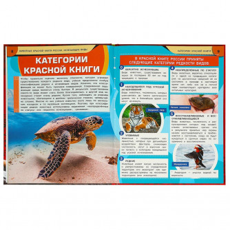 Животные Красной книги России. Исчезающие виды. Энциклопедия. 197х255мм. 7БЦ. 48стр. Умка 978-5-506-09203-2  