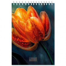 Блокнот А5 48л.кл.гребень,лам.карт.обл.КТС, 