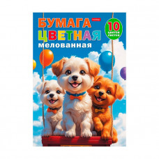 Цветная бумага А4, 10л 10цв в папке, мелованная, Hatber 