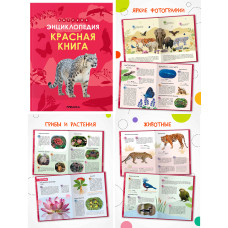 Детская энциклопедия. Красная книга 978-5-43154-483-5   Детская энциклопедия. Красная книга 978-5-43154-483-5