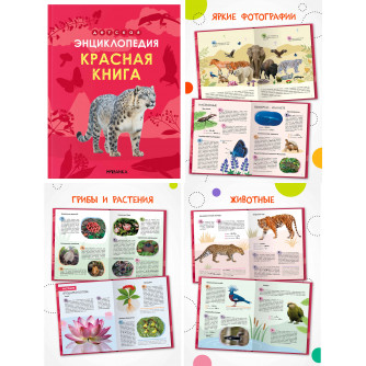 Детская энциклопедия. Красная книга 978-5-43154-483-5   Детская энциклопедия. Красная книга 978-5-43154-483-5