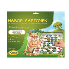 Набор карточек к Электровикторине: 