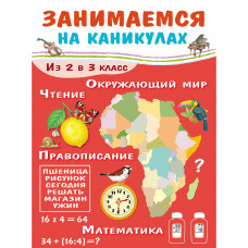 Книга 6752 ЗАНИМАЕМСЯ НА КАНИКУЛАХ. Из 2 в 3 класс   