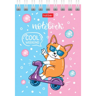 Блокнот Забавные корги 40Б7B1гр