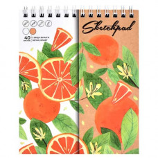 Альбом Sketchpad 125*150мм, 40л, Феникс 