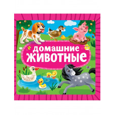 ЦК 145х145. ДОМАШНИЕ ЖИВОТНЫЕ