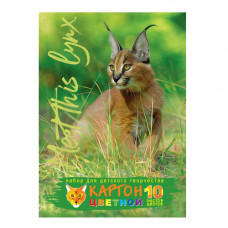 Картон цветной Взгляд рыси 10Кц5к_24702