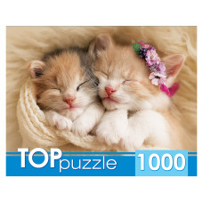 Пазлы 1000 элементов TOPpuzzle Два спящих котенка ГИТП1000-2142
