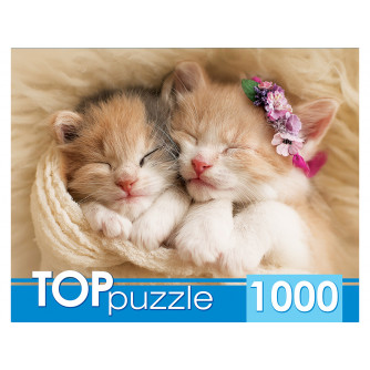 Пазлы 1000 элементов TOPpuzzle Два спящих котенка ГИТП1000-2142
