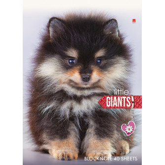 Блокнот А6 Собаки 3-40-297