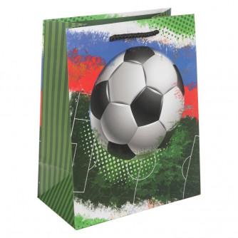 Пакет подарочный МАТОВЫЙ м,футбол,140 гр/м2 ЧУДО ПРАЗДНИК PM-130221-FB Пакет подарочный МАТОВЫЙ м,футбол,140 гр/м2 ЧУДО ПРАЗДНИК PM-130221-FB