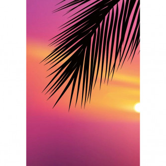 Скетчбук ДЕНЬ/НОЧЬ обложка с одуванчиками 978-5-00141-736-1    