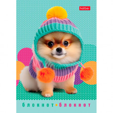 Блокнот А6 24л.кл.скрепка,карт.обл.Hatber, 