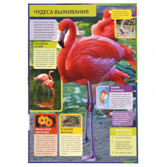 Энциклопедия с заданиями УМка Необычные животные 978-5-506-03892-4
