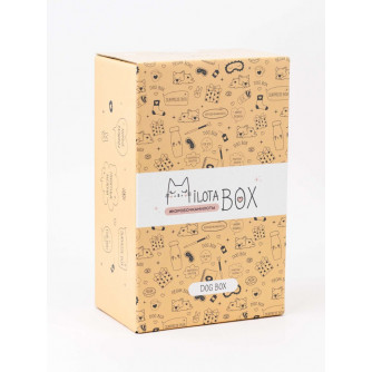 MilotaBox mini 