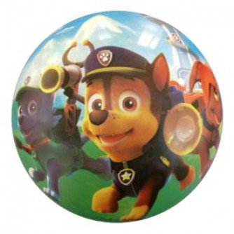 Мяч Играем вместе Щенячий патруль FD-9(PAW)